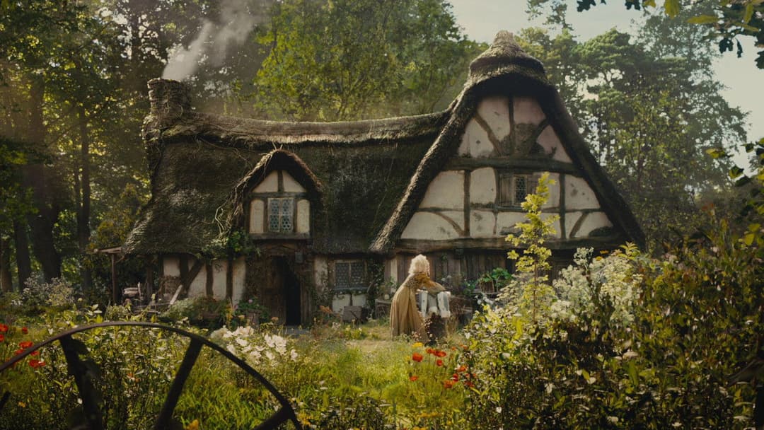 Maleficent backdrop 18