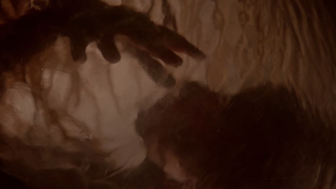 Викрадачі тіл backdrop 2