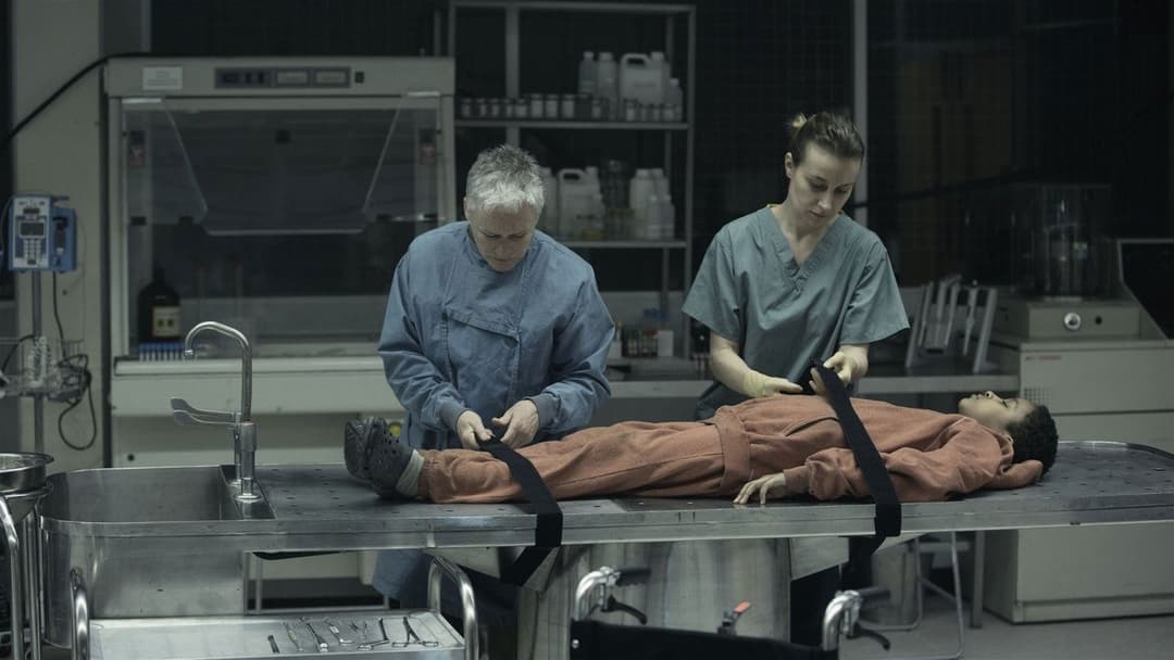 Нова ера Z backdrop 6