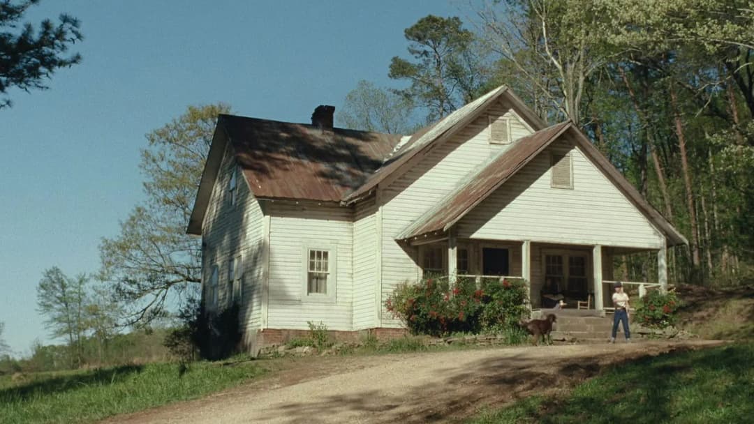 The Devil All the Time backdrop 17