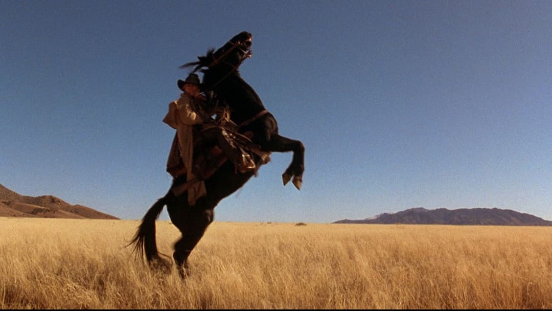 Швидкий та мертвий backdrop 13