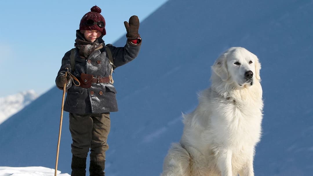 Belle and Sebastian backdrop 8