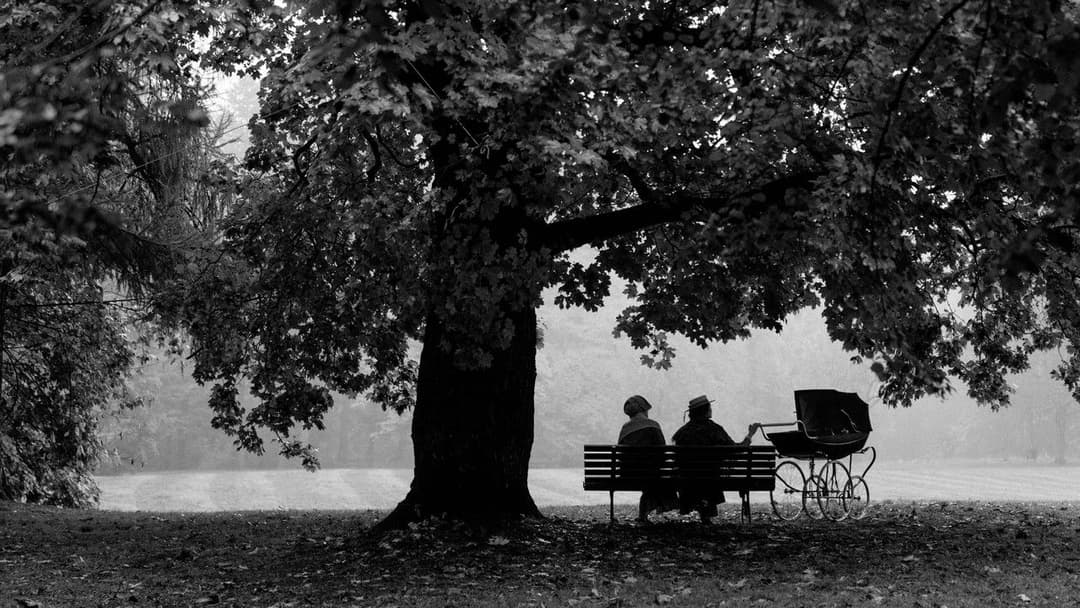 The Girl with the Needle backdrop 12