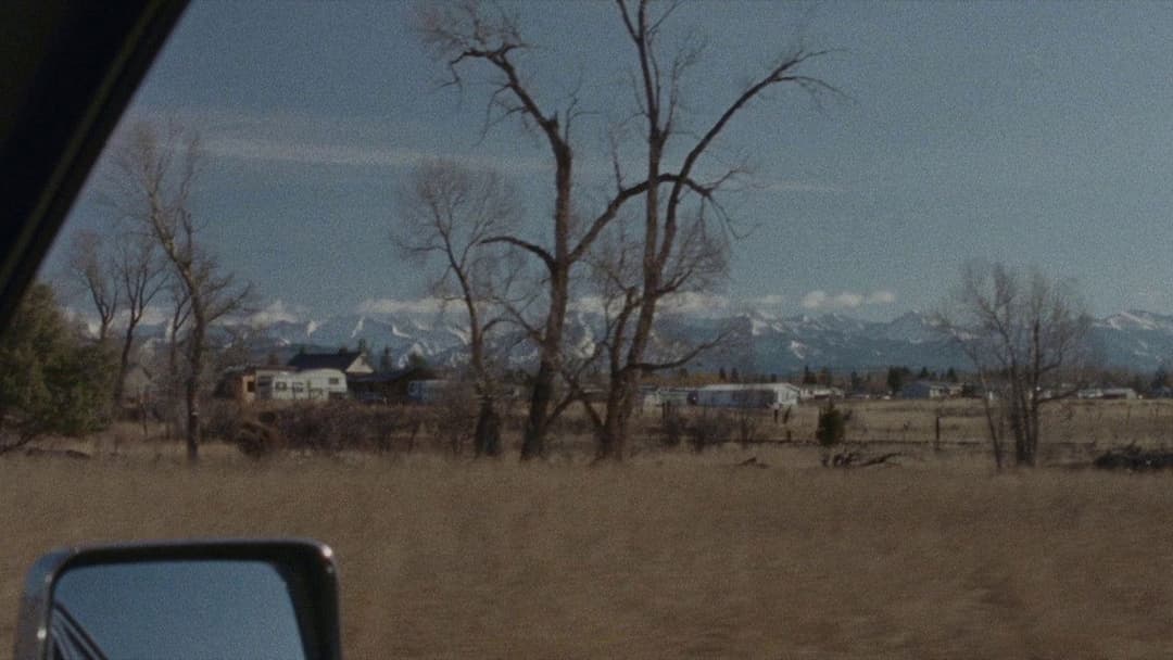 Деякі жінки backdrop 8