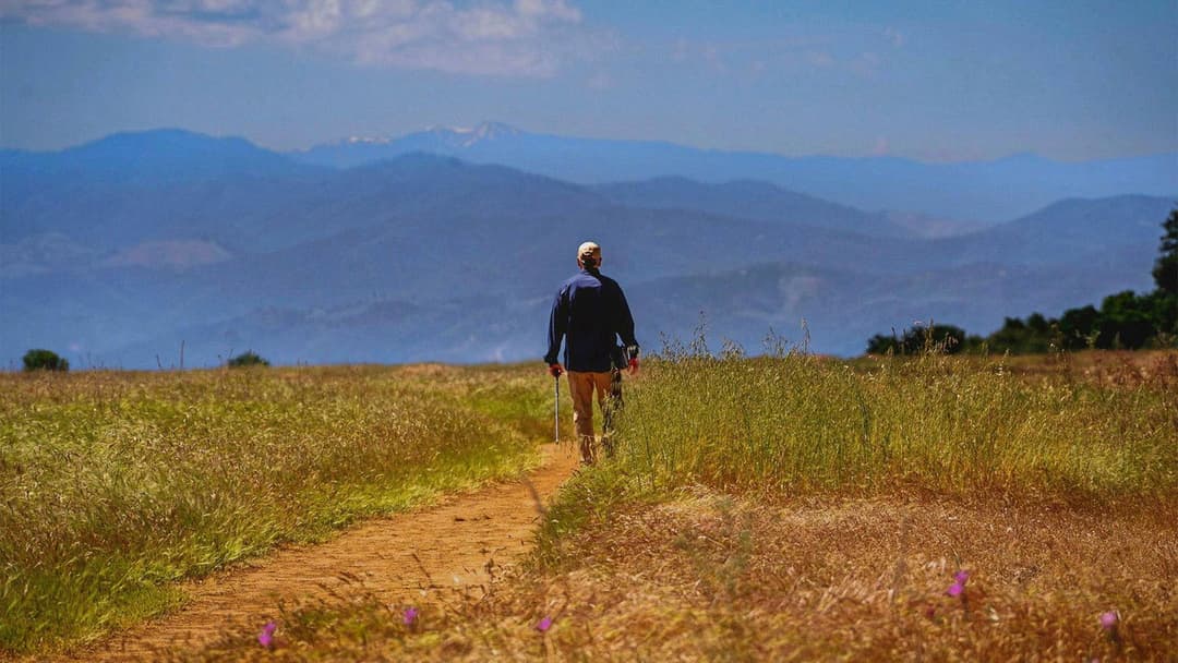 Ernie and Emma backdrop 11