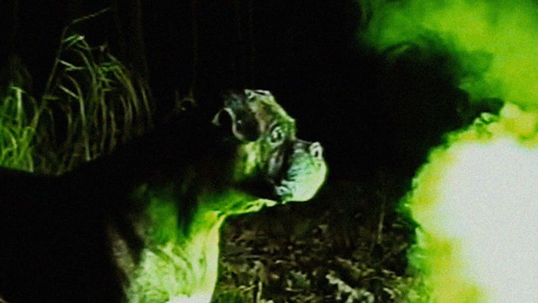 Bonkey: The Mutated backdrop 1