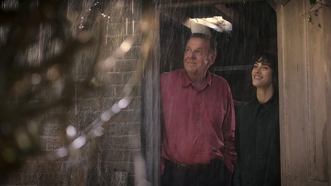 Der wunderbare Garten der Bella Brown backdrop 9