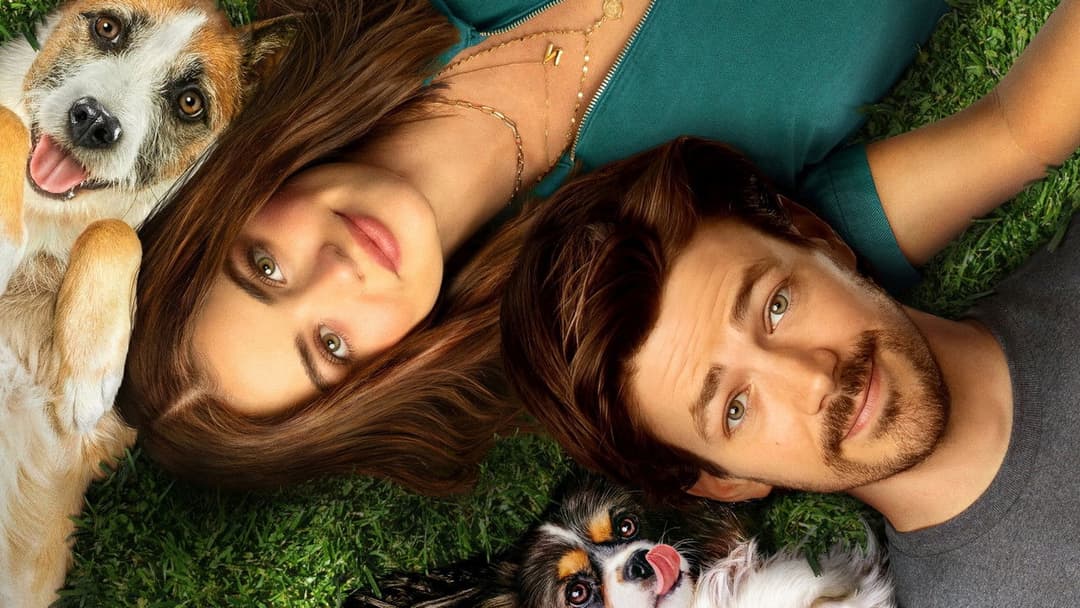 Puppy Love - Hunde zum Verlieben backdrop 9