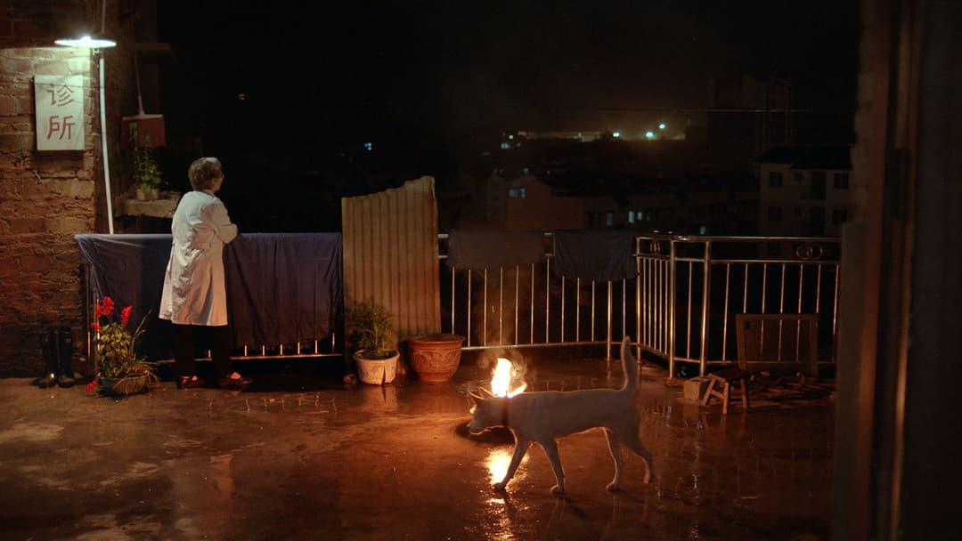 Kaili Blues backdrop 7