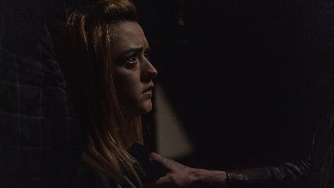 The Owners backdrop 3