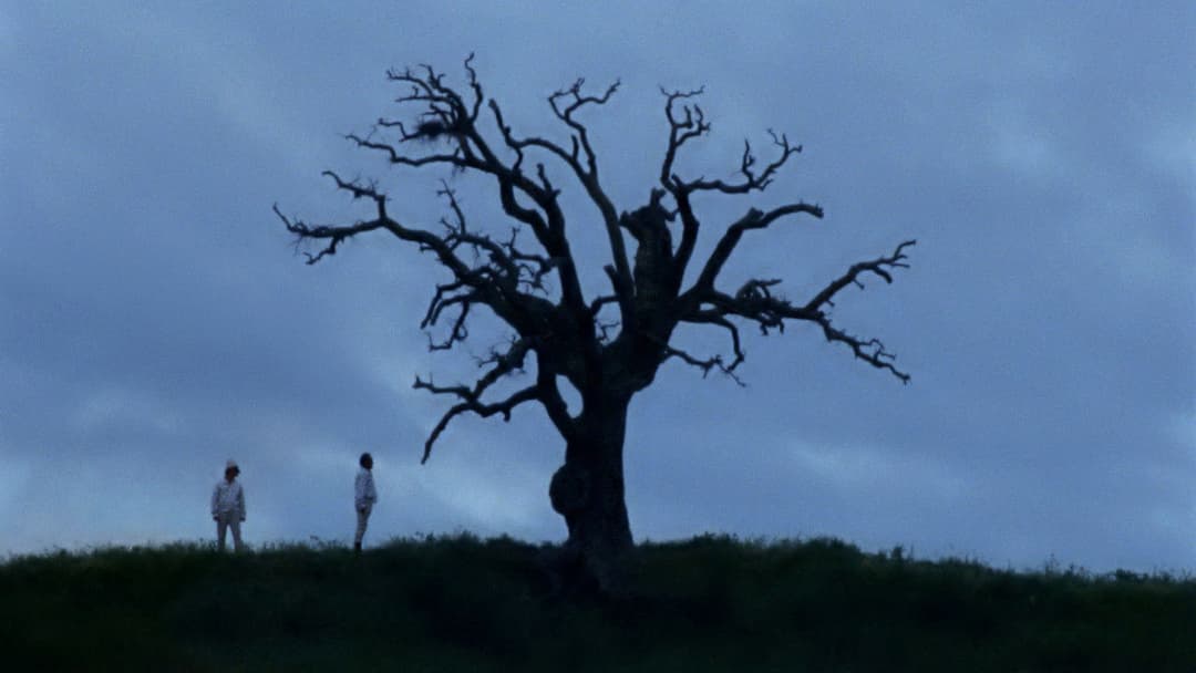 Lost and Beautiful backdrop 2