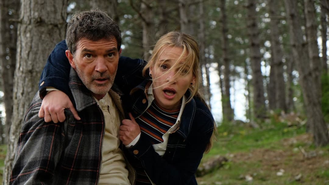 Чорний метелик backdrop 13