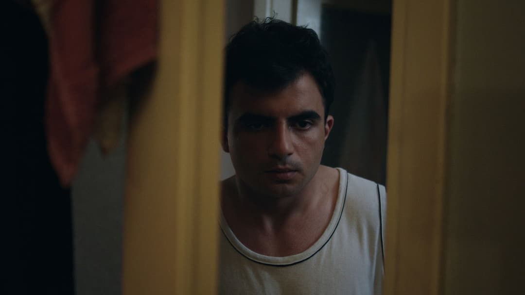 The Supplement backdrop 5