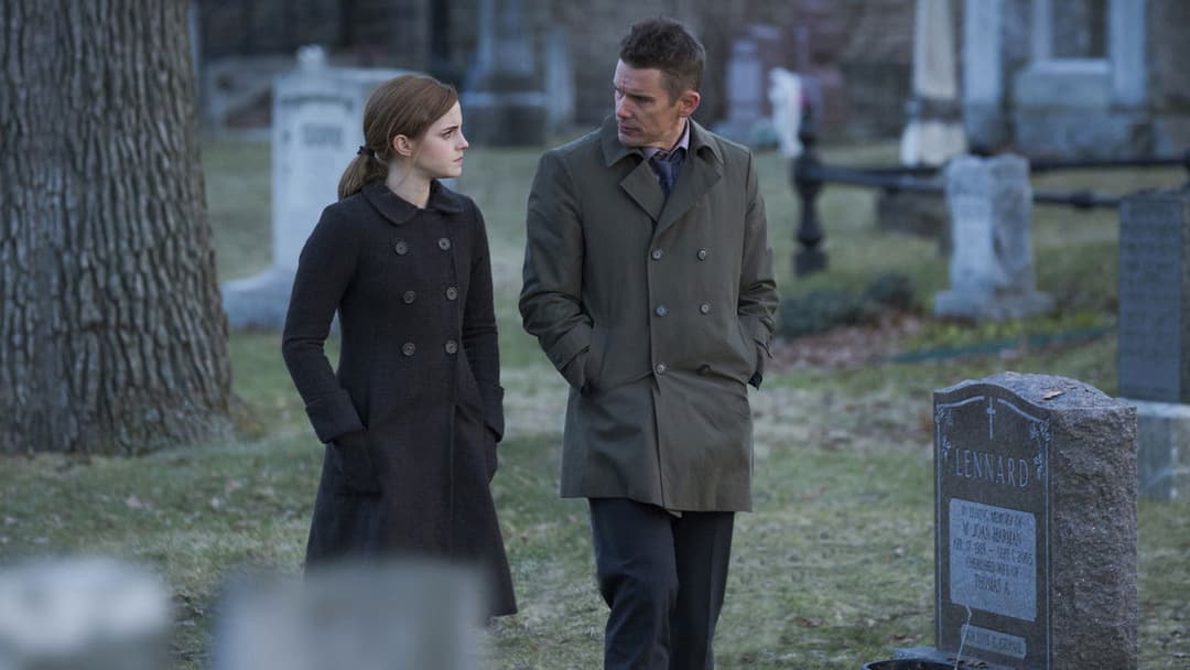 Regression backdrop 7