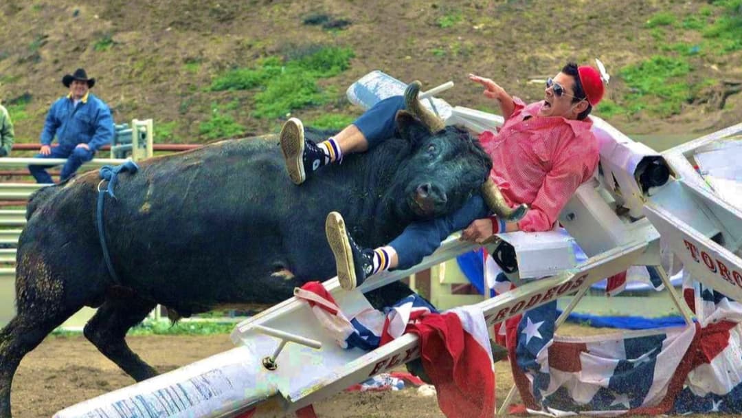 Jackass Number Two backdrop 5