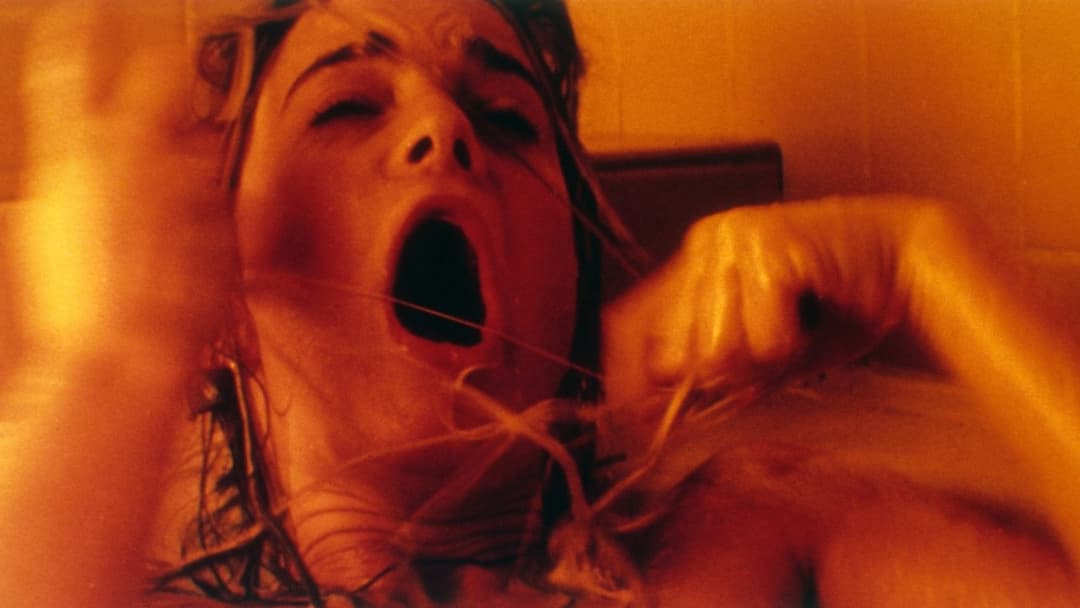 Викрадачі тіл backdrop 4