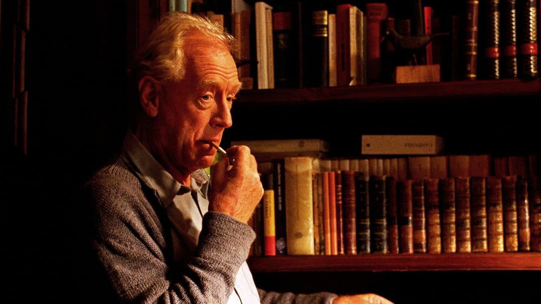 Sleepless backdrop 11