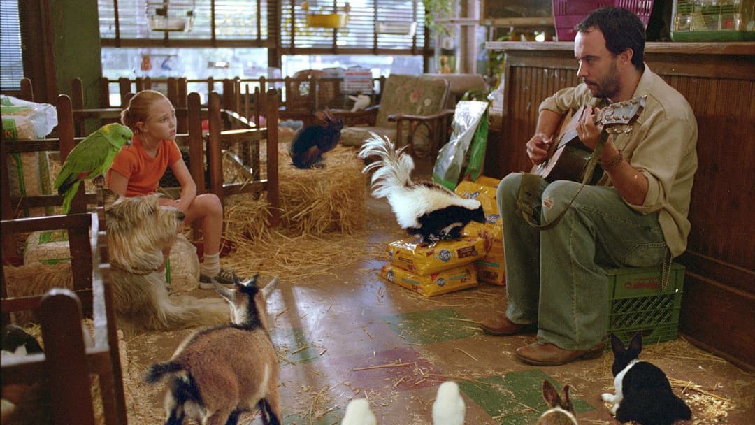 Winn-Dixie - Mein zotteliger Freund backdrop 6