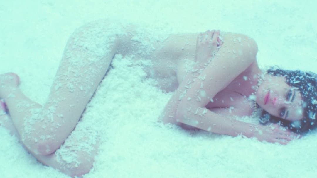 Білий птах у хуртовині backdrop 12