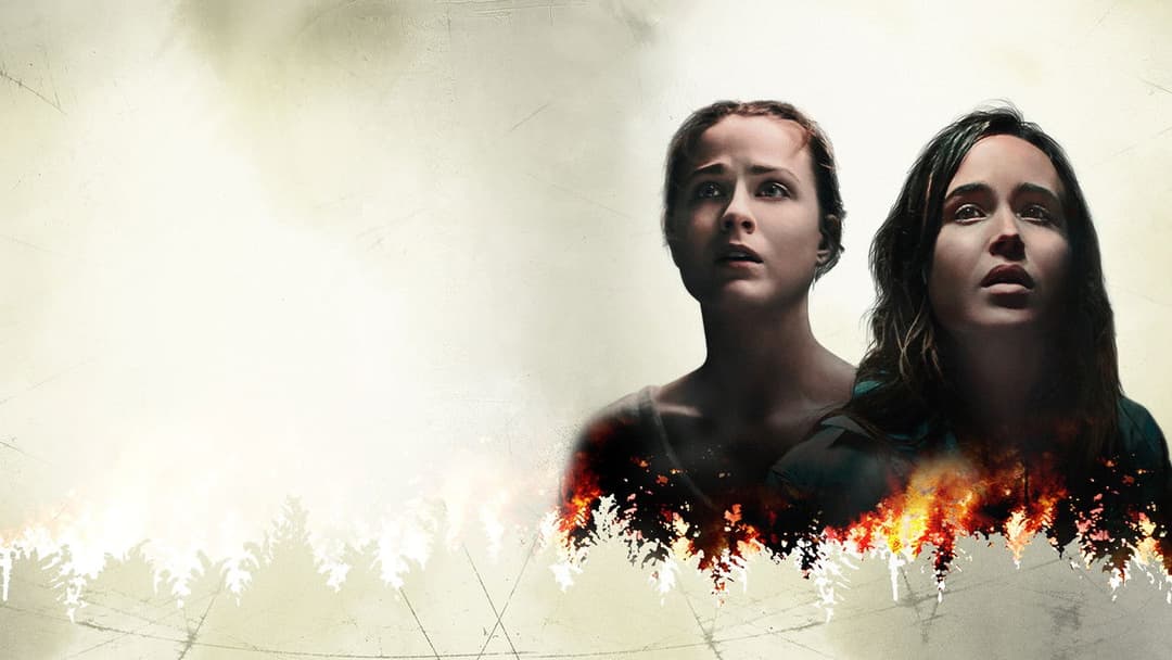 Into the Forest backdrop 3