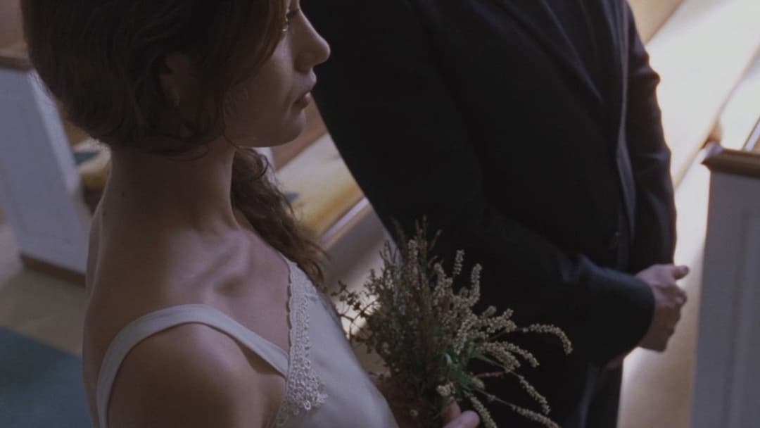 To the Wonder backdrop 13