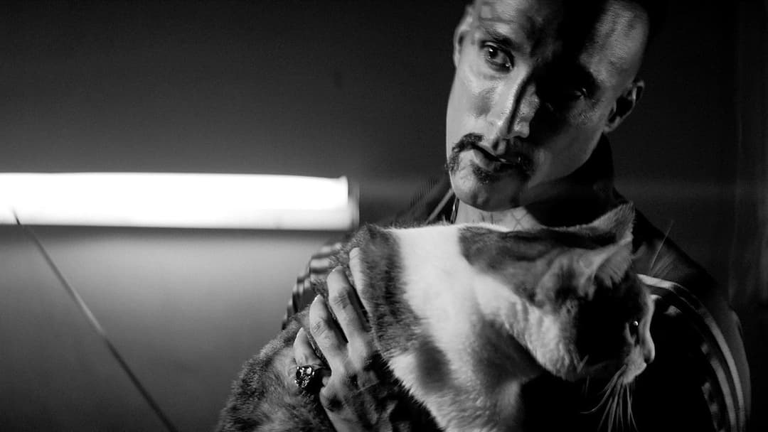 A Girl Walks Home Alone at Night backdrop 19