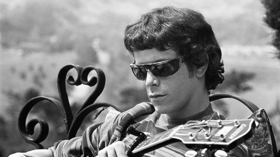 The Velvet Underground backdrop 4