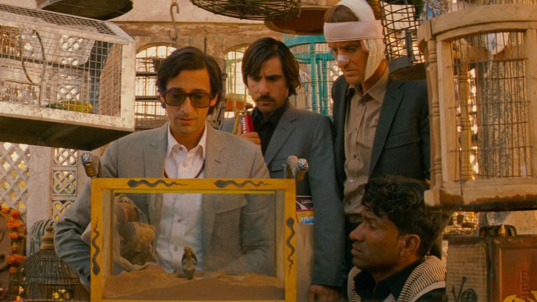 Darjeeling Limited backdrop 13