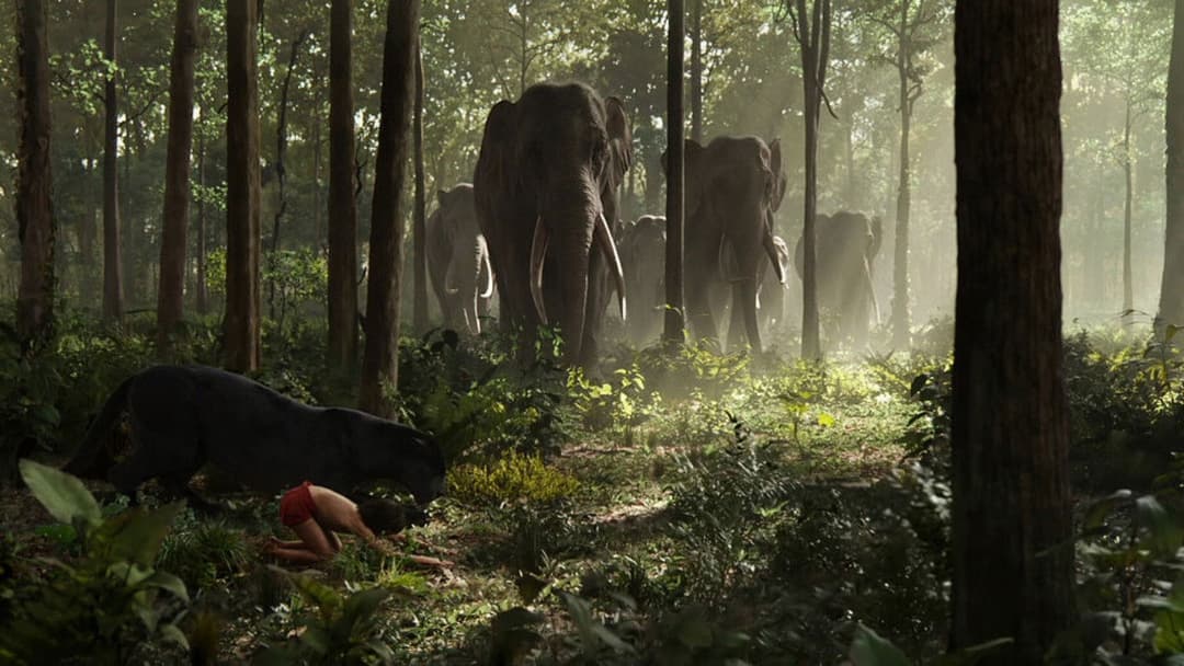 The Jungle Book backdrop 12