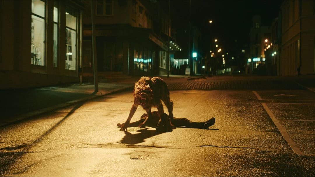 Viking Wolf backdrop 20