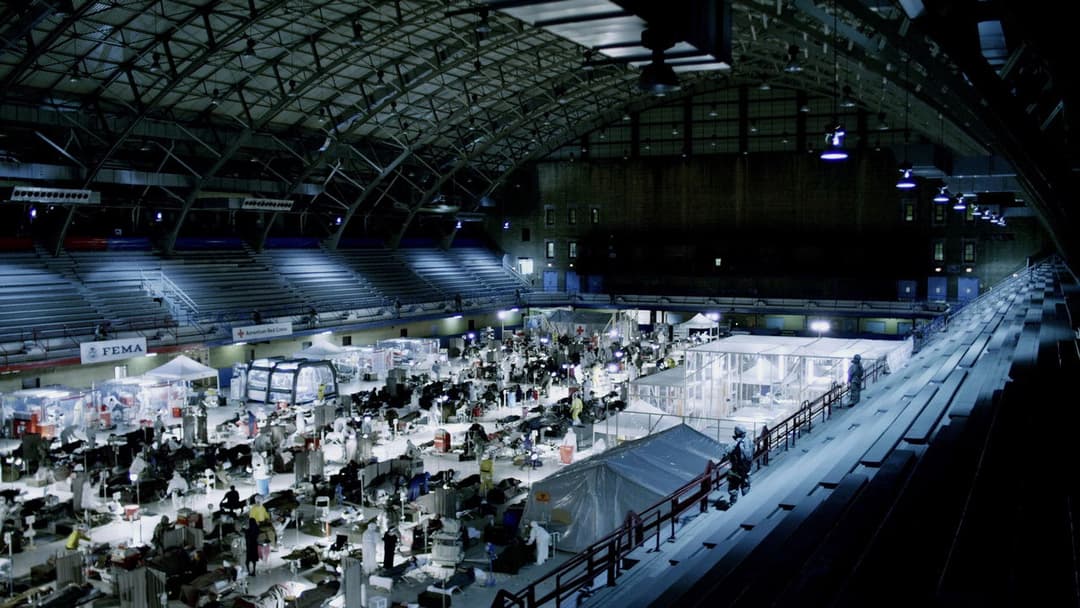 Зараза backdrop 13