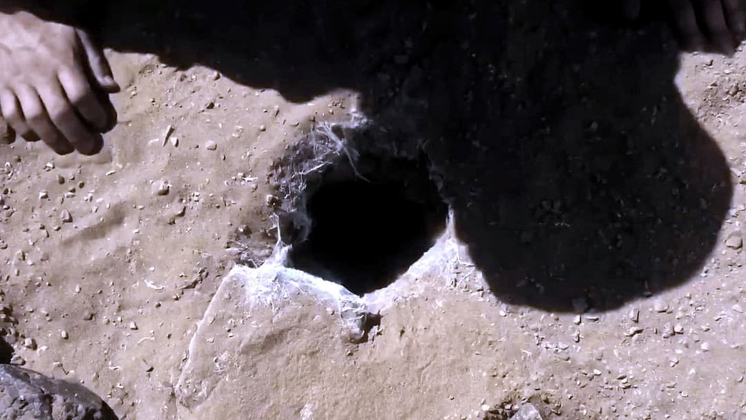 Павуче лігво backdrop 16