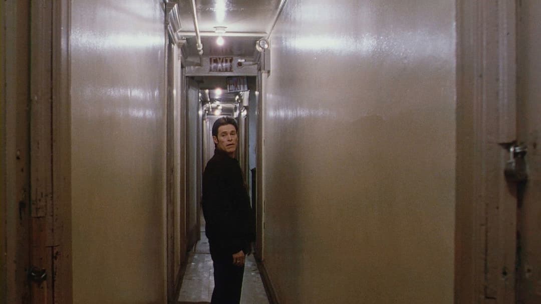 Light Sleeper backdrop 8