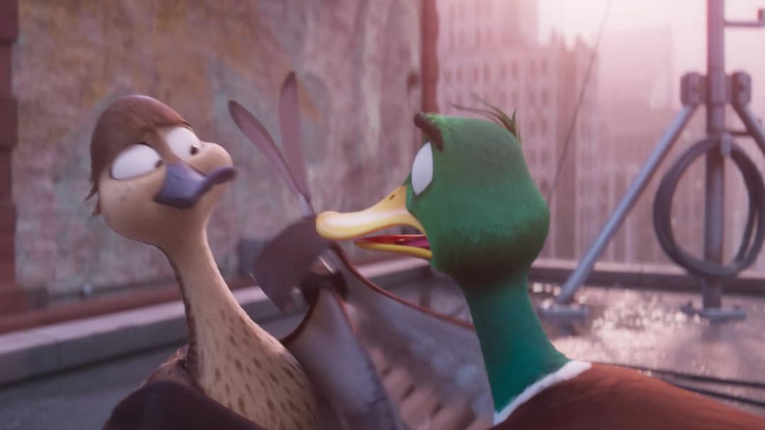 Переліт backdrop 14