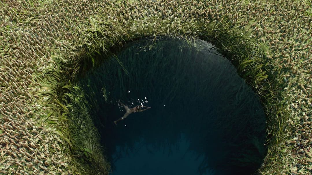 Життя Пі backdrop 15