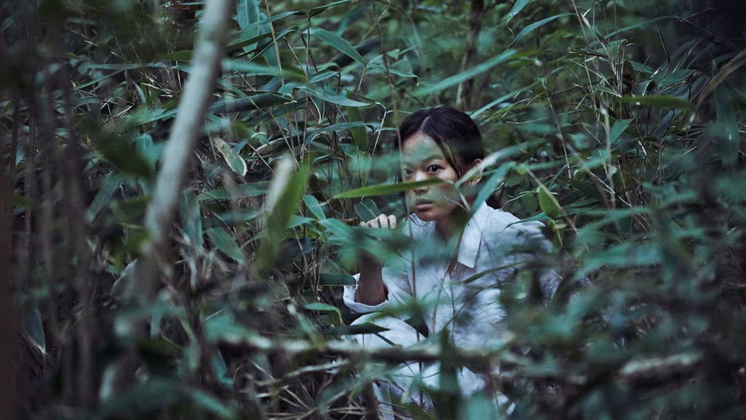 Виття backdrop 18