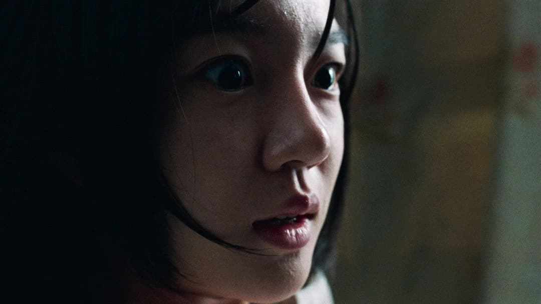 A Tale of Two Sisters backdrop 10