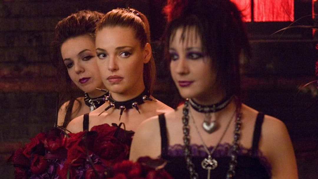 27 весіль backdrop 2