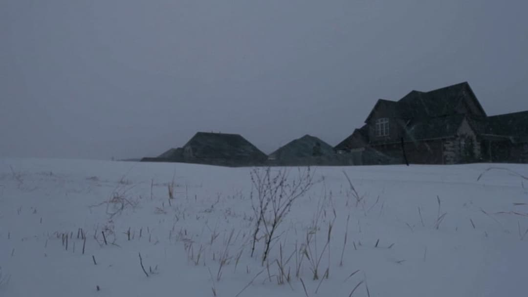 To the Wonder backdrop 16