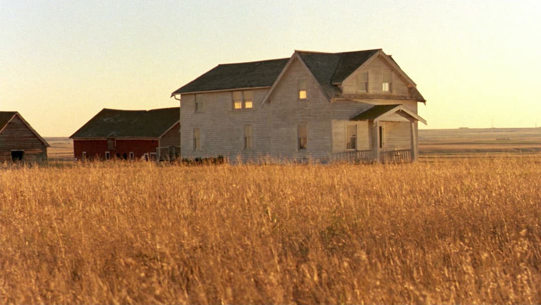 The Reflecting Skin backdrop 13