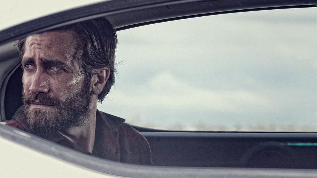 Nocturnal Animals backdrop 7