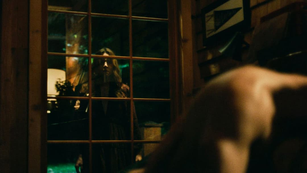 Black Bear backdrop 2