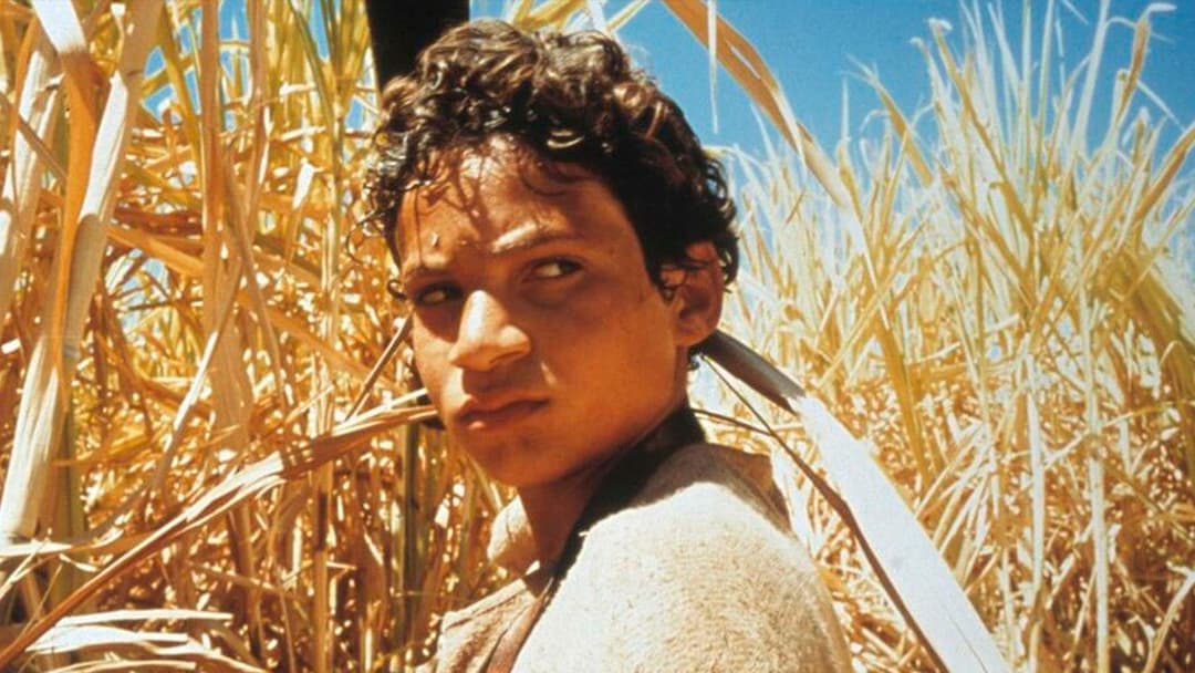 Hinter der Sonne backdrop 1