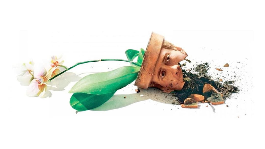 Adaptation. backdrop 14