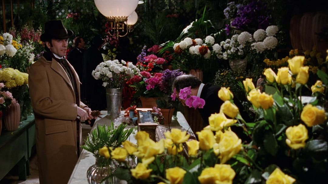 Zeit der Unschuld backdrop 5