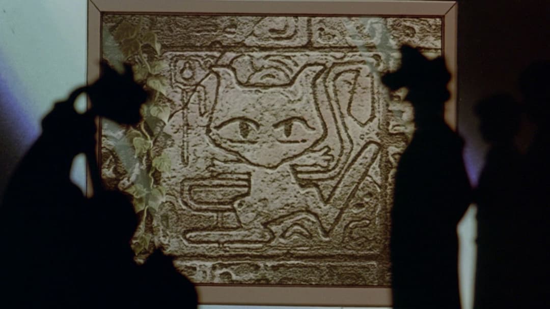 Pokémon - Der Film backdrop 13