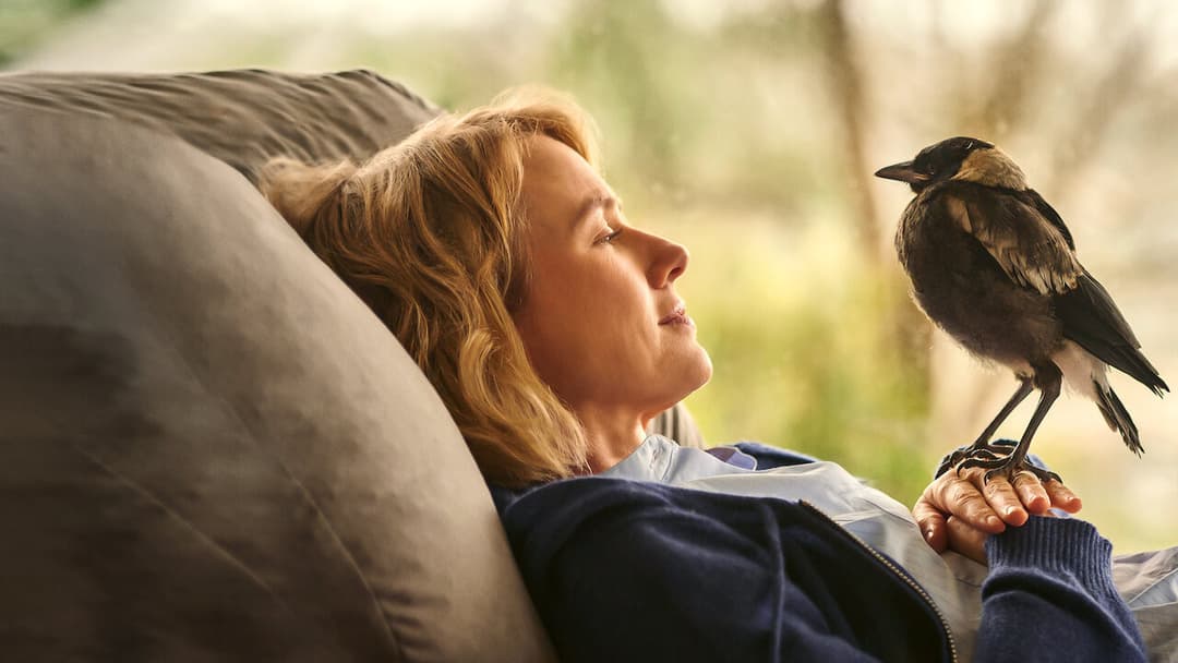 Пінгвін Блюм backdrop 8