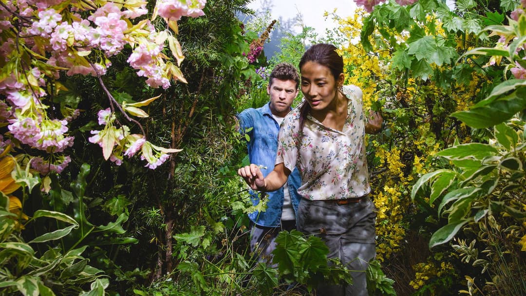 The Shack backdrop 12