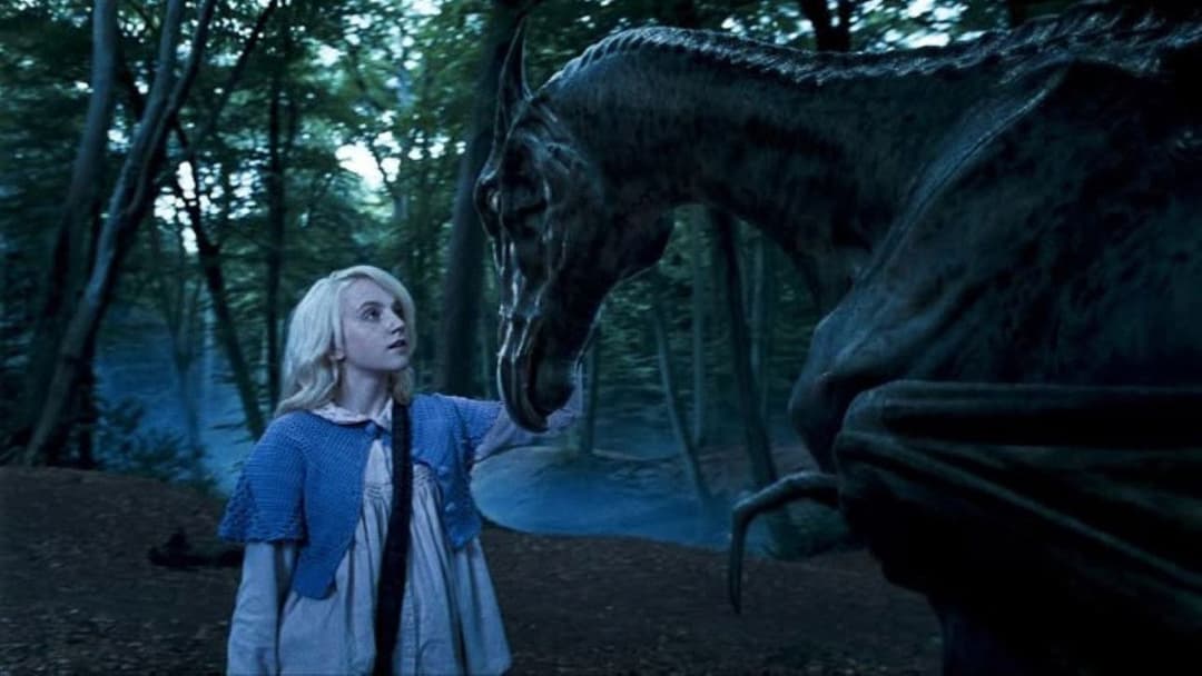 Гаррі Поттер та Орден Фенікса backdrop 10