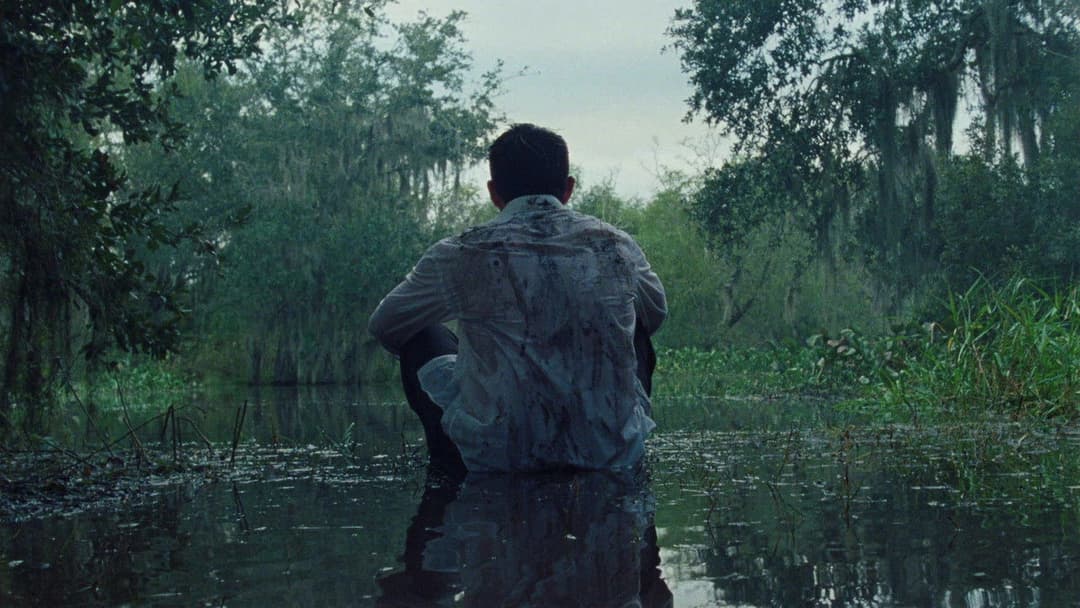 Blue Bayou backdrop 14